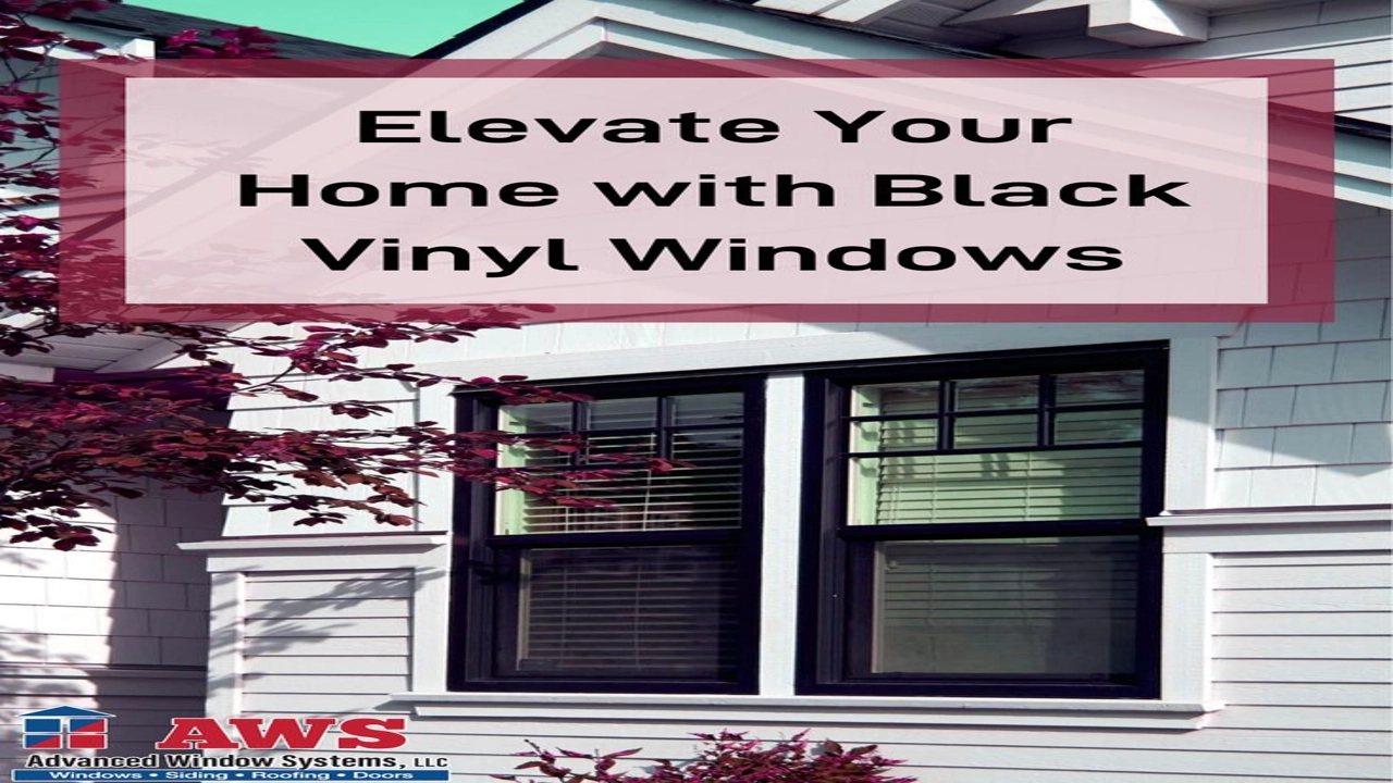 Elevate Your Vinyl: Trim Secrets