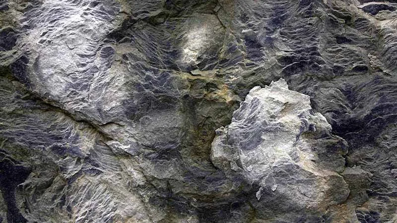 Slate Detail Showing Textured Surface. RHS Wisley Surrey UK.jpg