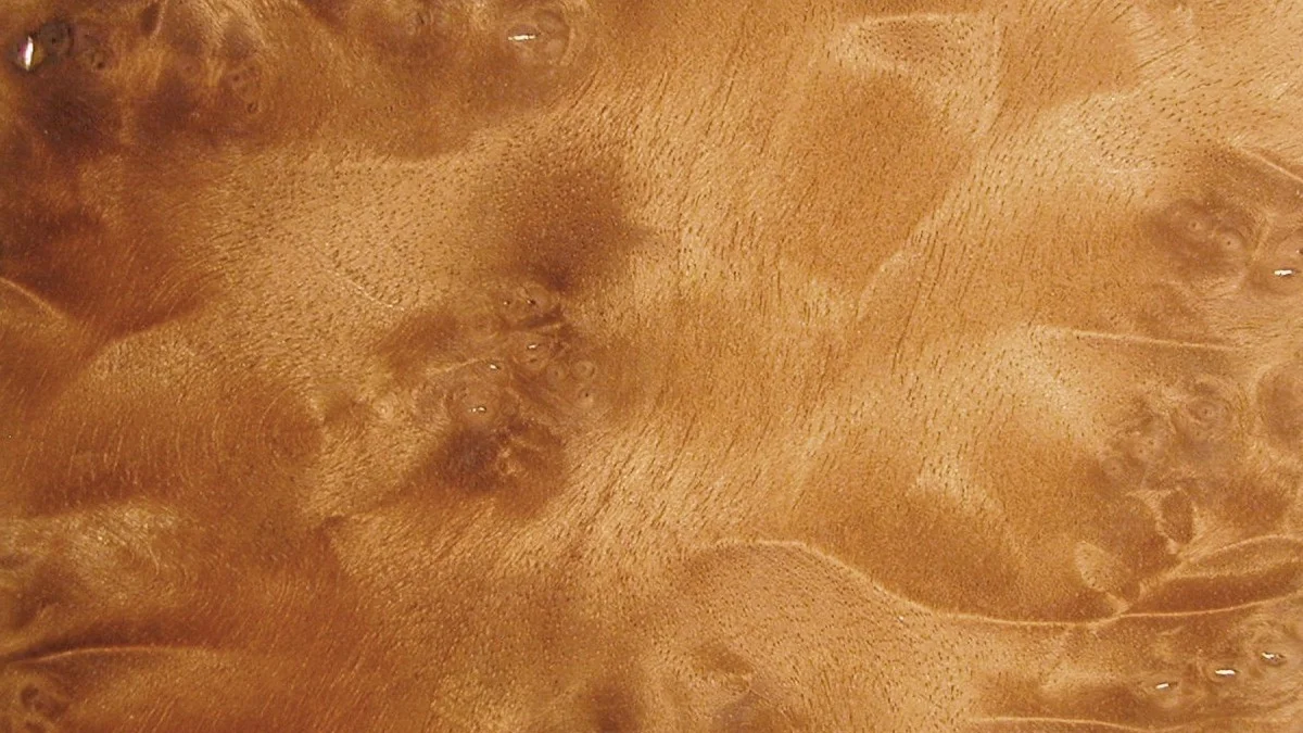 Walnut Vinyl Plank Flooring: Go Dark Without Going Cold Walnut burl grain figure