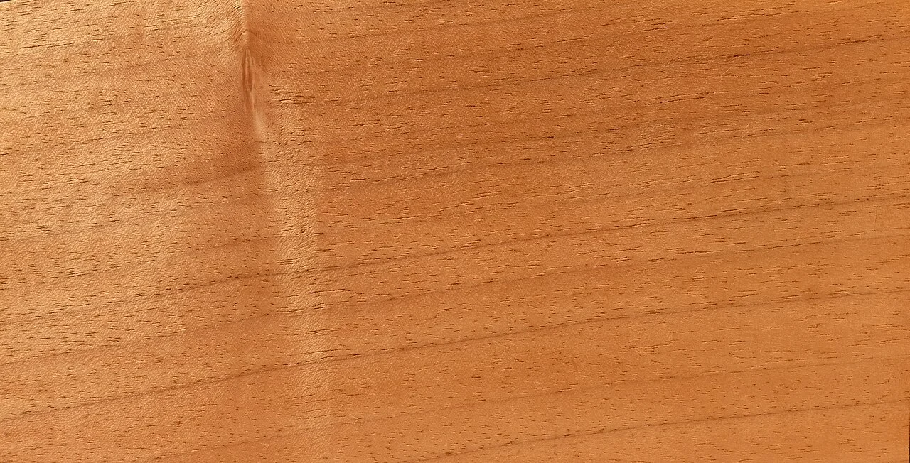 Walnut Vinyl Plank Flooring: Go Dark Without Going Cold Walnut sapwood contrast on a board