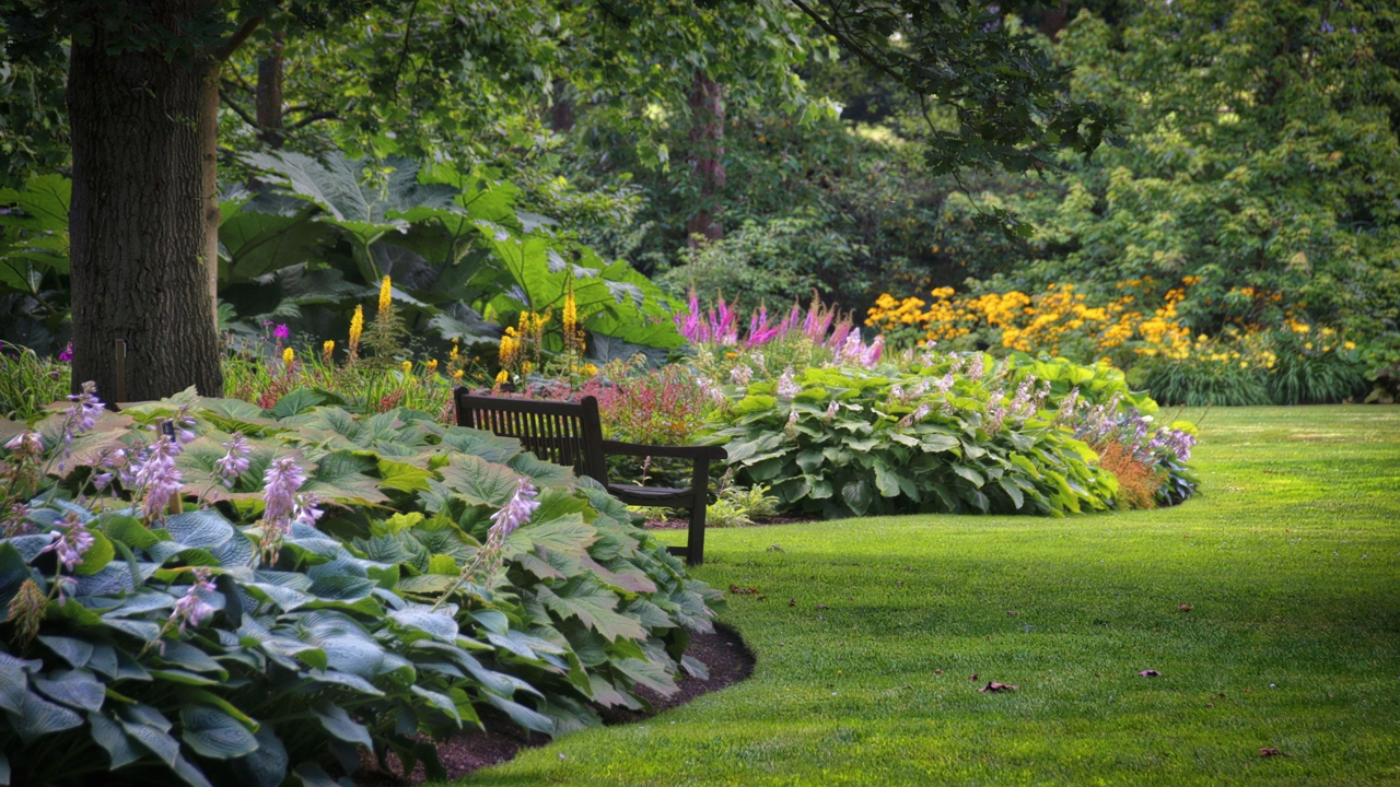 Deer-Proof Your Hostas: The Secret They Don't Want You To Know