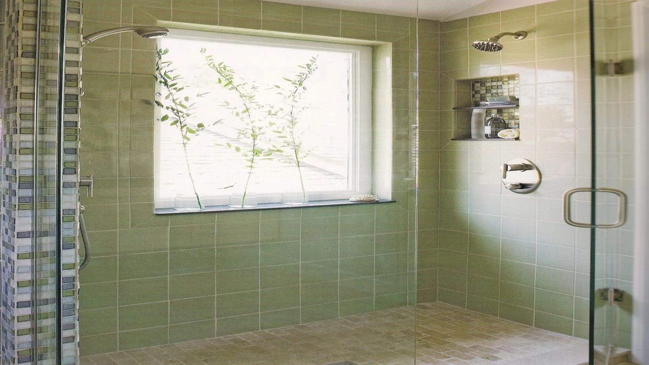 shower window ideas