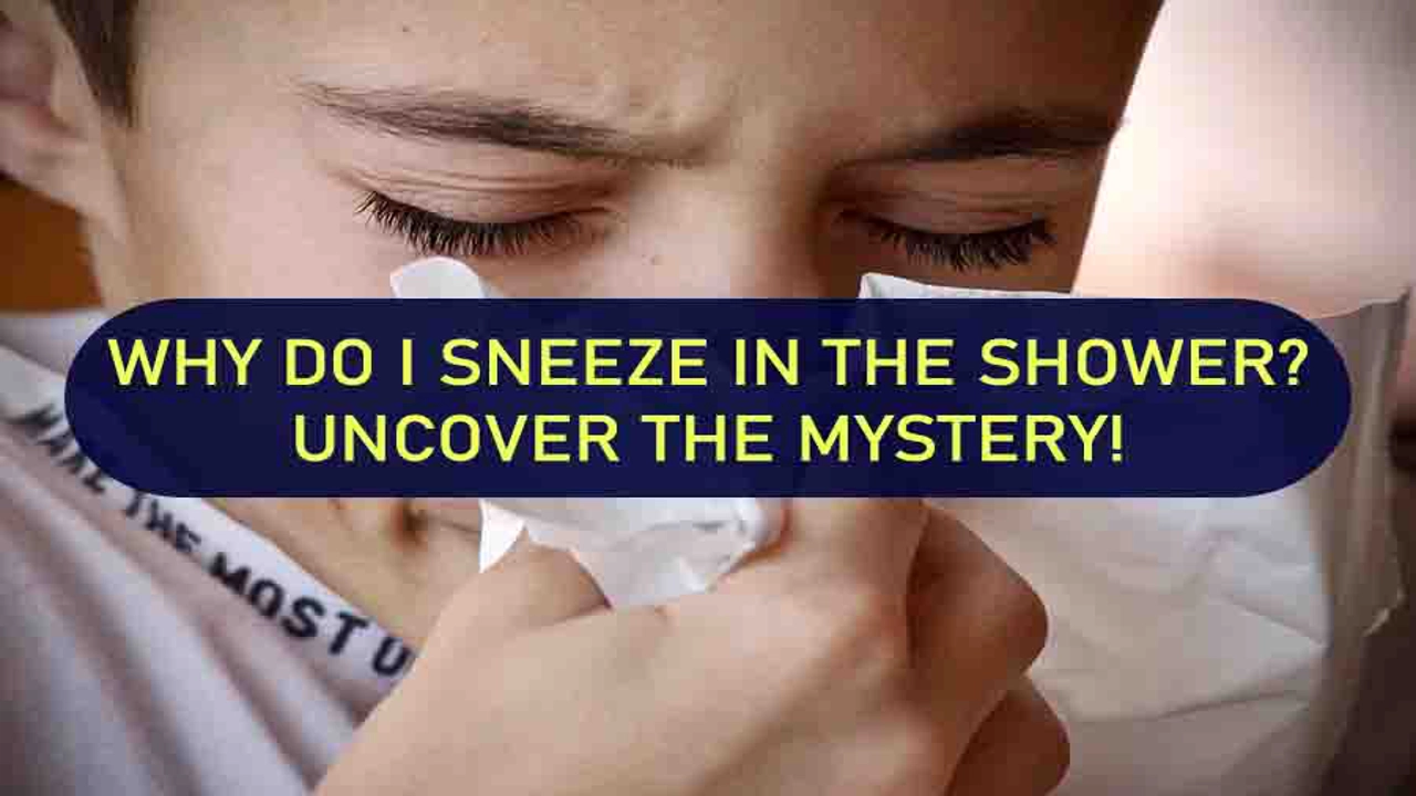 Why You Sneeze in the Shower