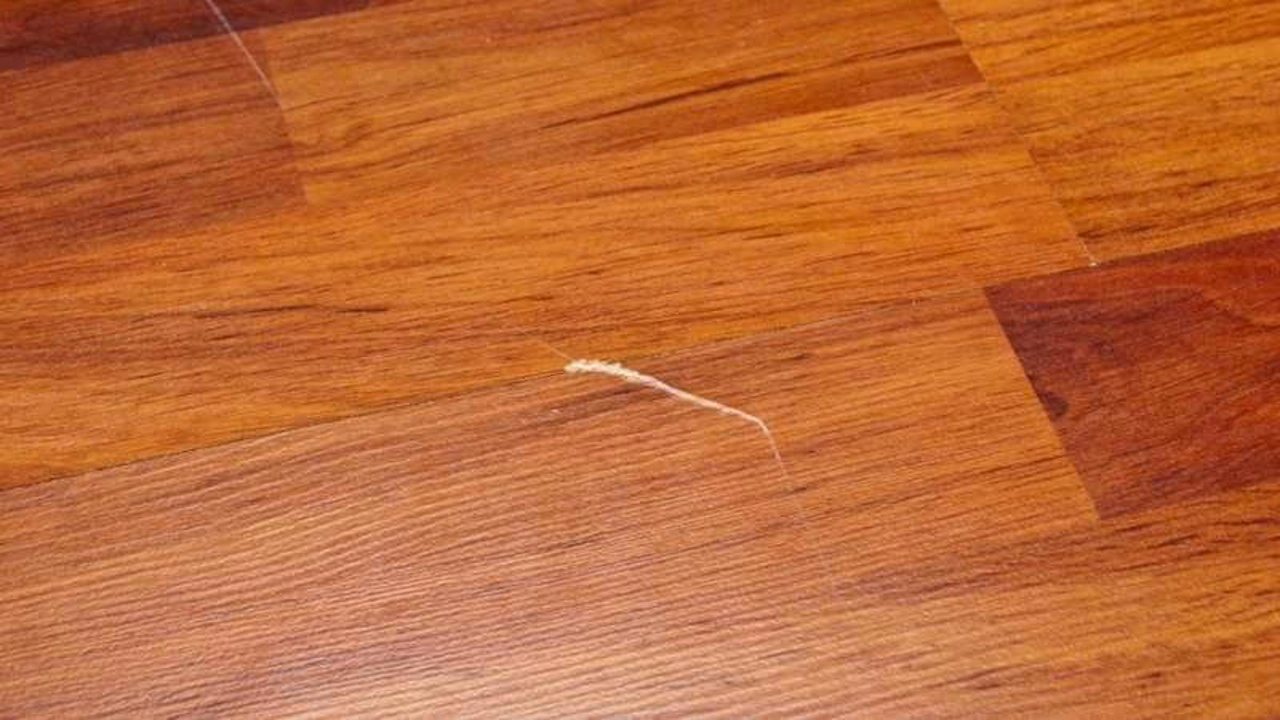 Wood Floors: The Secret Dent Enemy You Didn't Know About